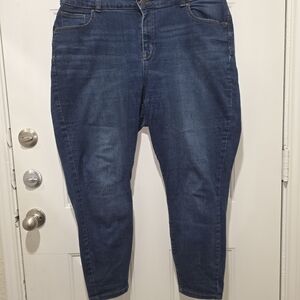 Terra & Sky Indigo Denim Jeans
